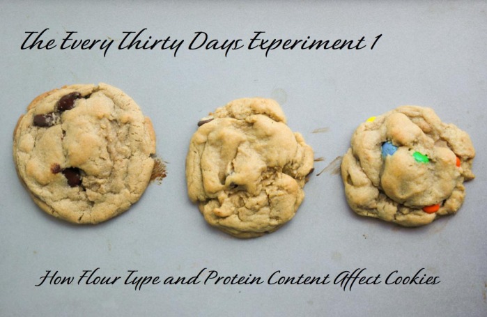 Affect of Flour Type and Protein Content on Cookies